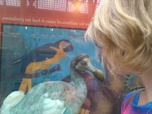 Dva blbouni face to face