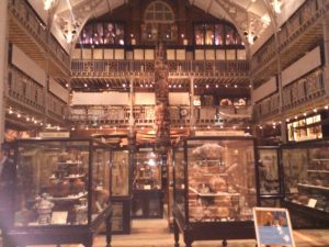 Pitt Rivers Muzeum