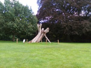 Strom zasazený samotným Lordem Byronem