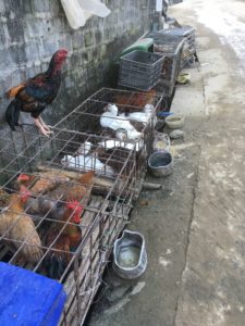 05AF62D3-4608-4111-A429-A27D51110430