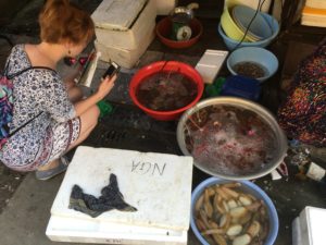 494571DB-BBE4-4E86-8F06-9A8CC6216795