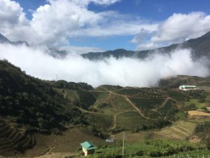 5EC4241C-00E5-4004-9E83-97EA705E34D2