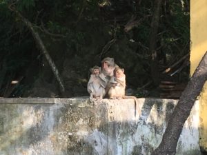 18F36A34-3601-4FA7-B836-1912176F3DAC