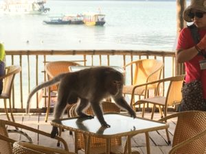 1BC7BC20-6838-4AD9-ACAF-E9B659E0EA9E