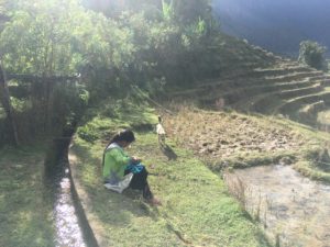 1CA11393-9709-40EF-A54B-4CF68DE39541