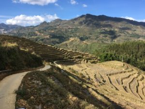 23583E8C-2FFA-4920-B7D7-FB84527F5312