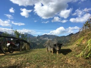 47AAE3D9-237A-427C-9DED-BCA27D6CBA80