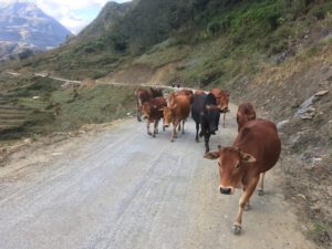 4A56447E-E69A-46C2-B576-7AE5D43A892D