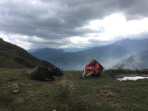 4FB82B7F-5353-4D15-BD69-64CAA2EB94CF