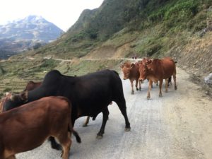 505464F6-35E6-43E7-AF39-3C19D1E0664F