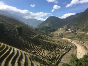 534F0A67-39E5-44DC-9958-C9EAD72C2994