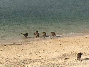 7E6F3677-4B0A-4E99-B81D-77F3D00C4D2B