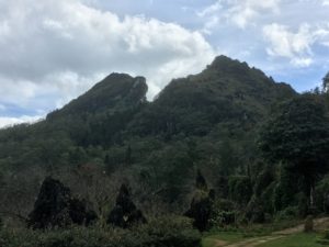 8091AAB7-792A-4A78-AB0E-9958EB4EE7CB