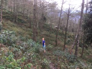 8CFBC5A1-F7B3-4E2A-8D8D-2551F7101E42