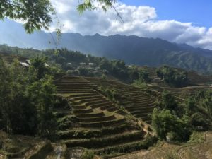 938C8C22-2668-4C97-A4F0-B65E79A30055