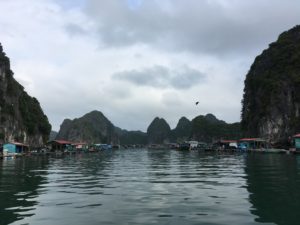 95FEA0CA-4E33-465F-AACB-4B37D9FF97A0