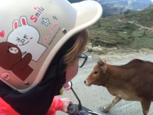 C2E8083E-82D5-4BBC-92D1-EC11B0E3D0D2