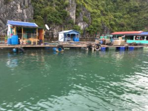 D58D99AF-EBE1-4759-B387-2E7DCAFEAF0E