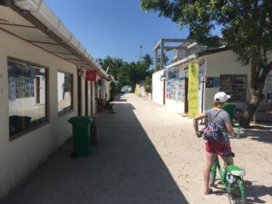 EE0ACC15-F8FD-4DA3-94F5-72BCC4C46B1E